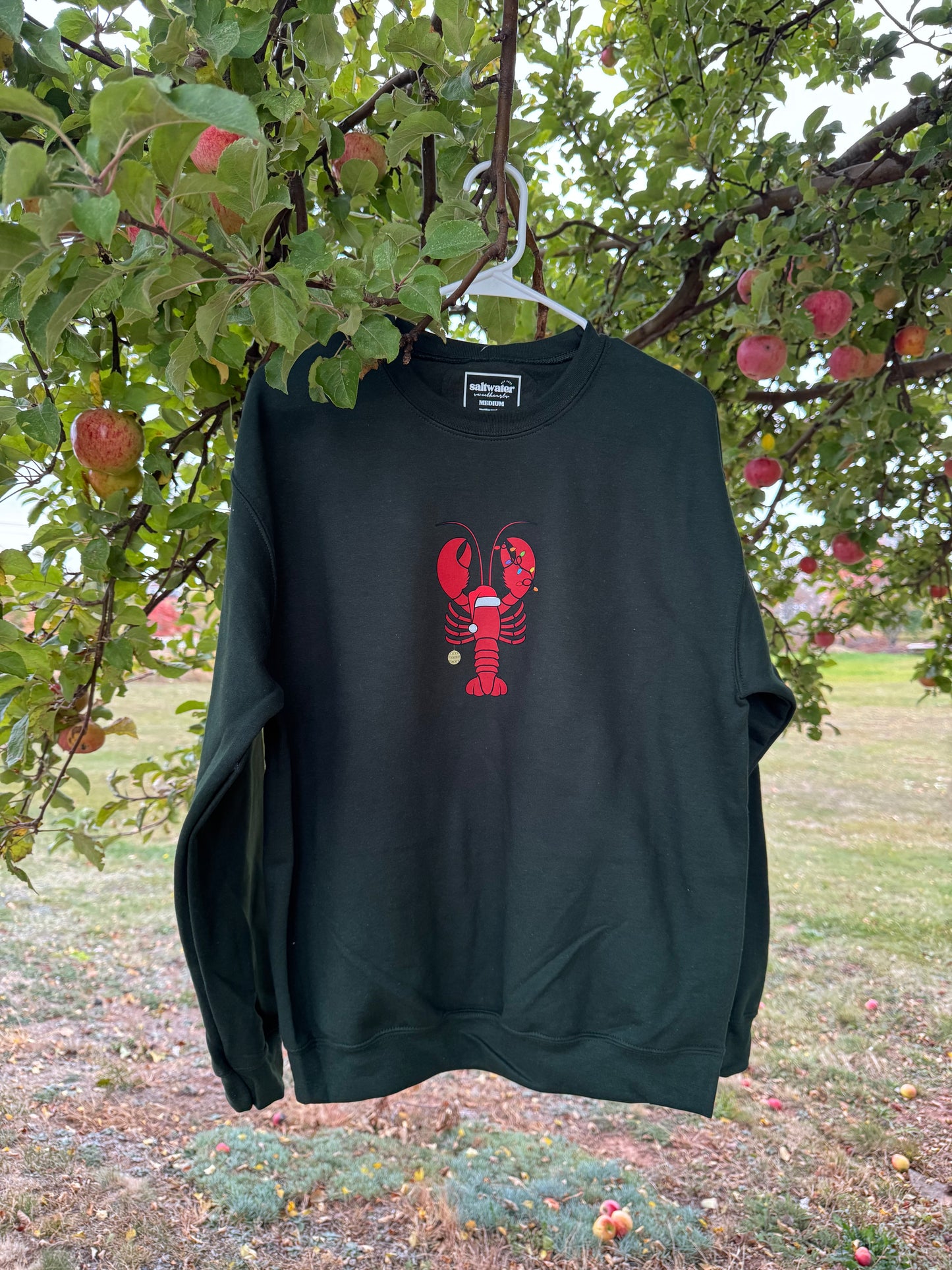 Santa Claws π¦ Crewneck (forest green)