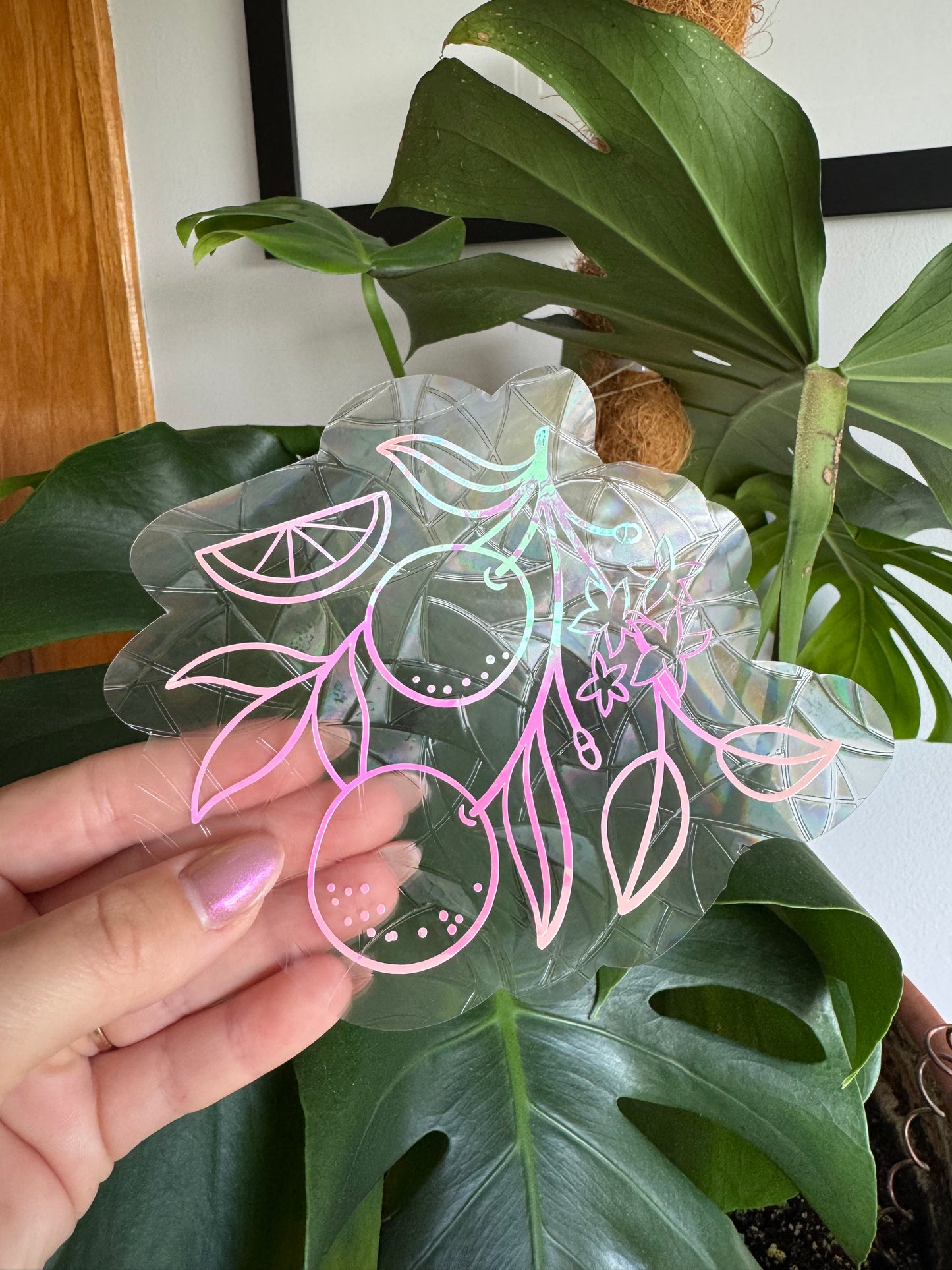 Citrus ππβπ© Sun Catcher Window Cling