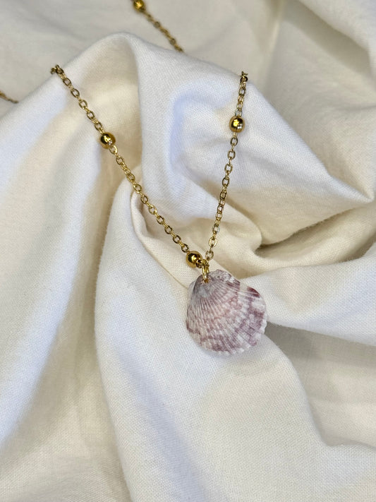 18in Seashell Necklace #1