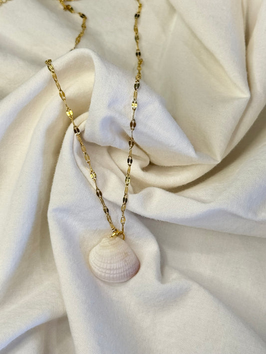 16in Seashell Necklace #1