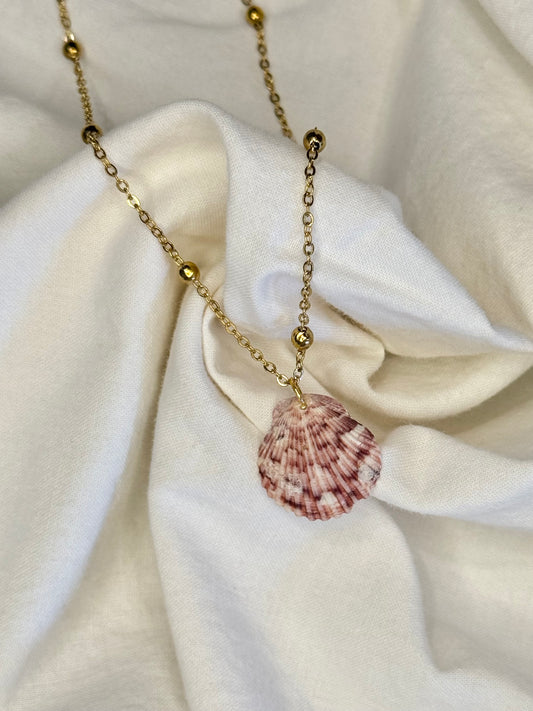 16in Seashell Necklace #5