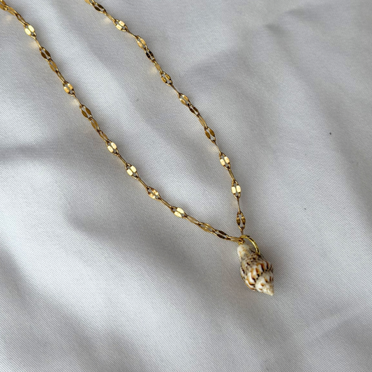 Gold Plated Dainty Seashell Anklet
