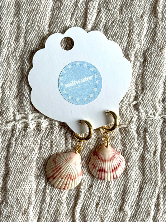 Seashell Earrings #5