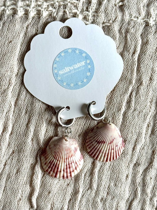 Seashell Earrings #4