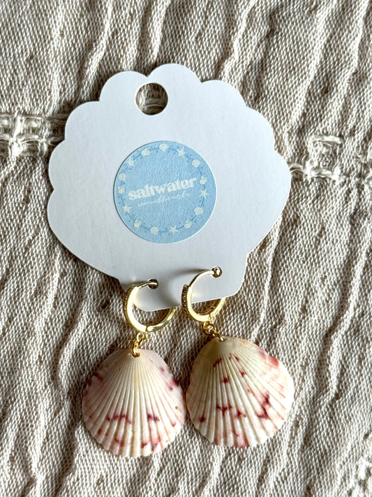 Seashell Earrings #6